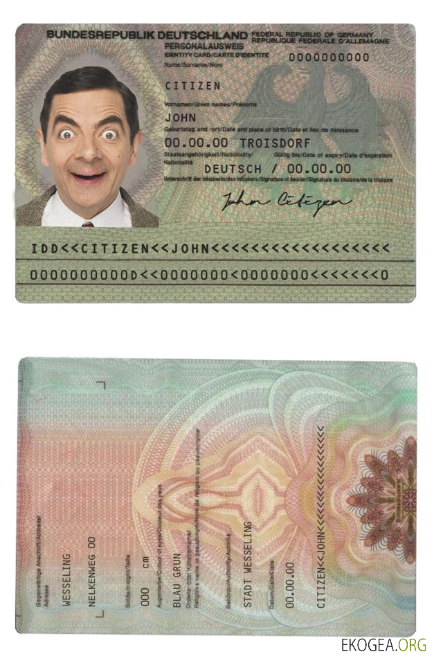 Modèle d'identification d'Allemagne au format PSD, entièrement modifiable (2010 – 2020)